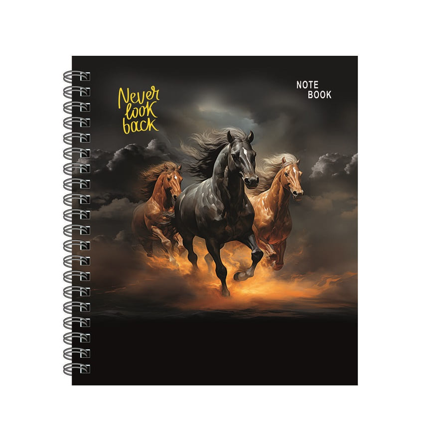 Service Provider of 4D Effect Wire O Binding Never Look Back Notebook Printing Services in New Delhi, Delhi, India