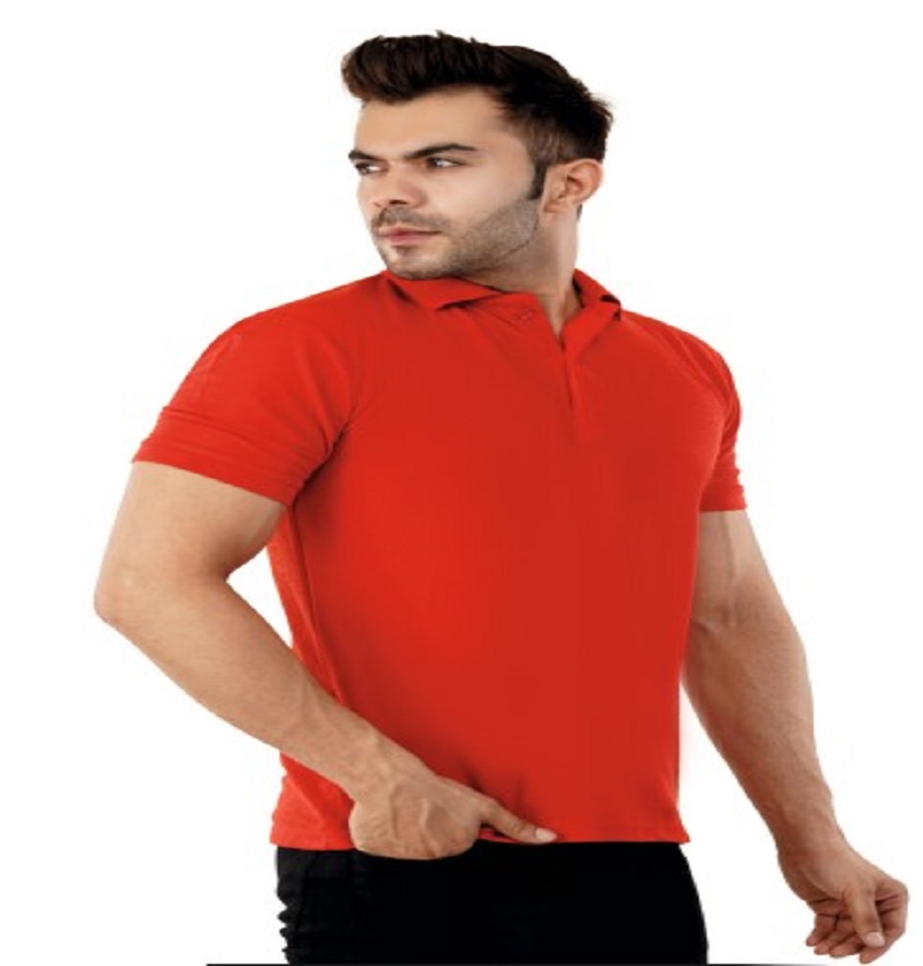 Service Provider of Atlas Collar Neck T Shirt Printing Services in New Delhi, Delhi, India