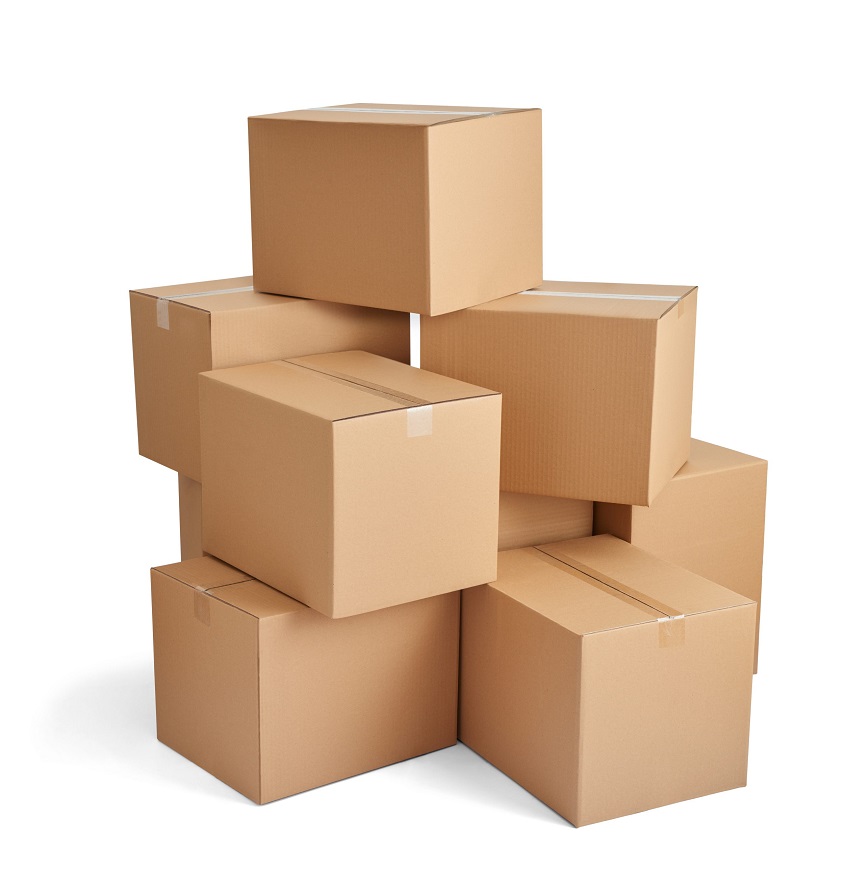Service Provider of Corrugated Box Printing Services in New Delhi, Delhi, India