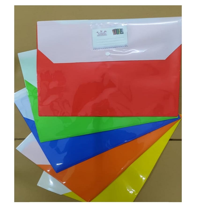 Service Provider of Double Pocket Minimum 6 Carton Packing Printing Services in New Delhi, Delhi, India.