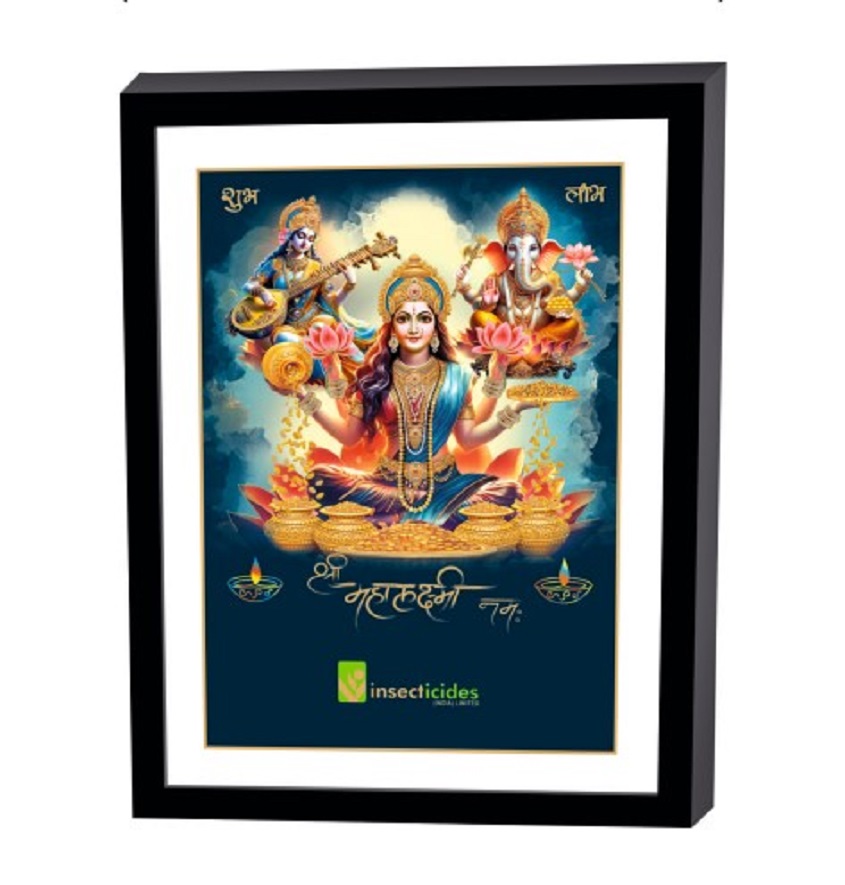 Service Provider of Elegant Art Box Frame & Flat Frame Diwali Pooja Printing Services in New Delhi, Delhi, India