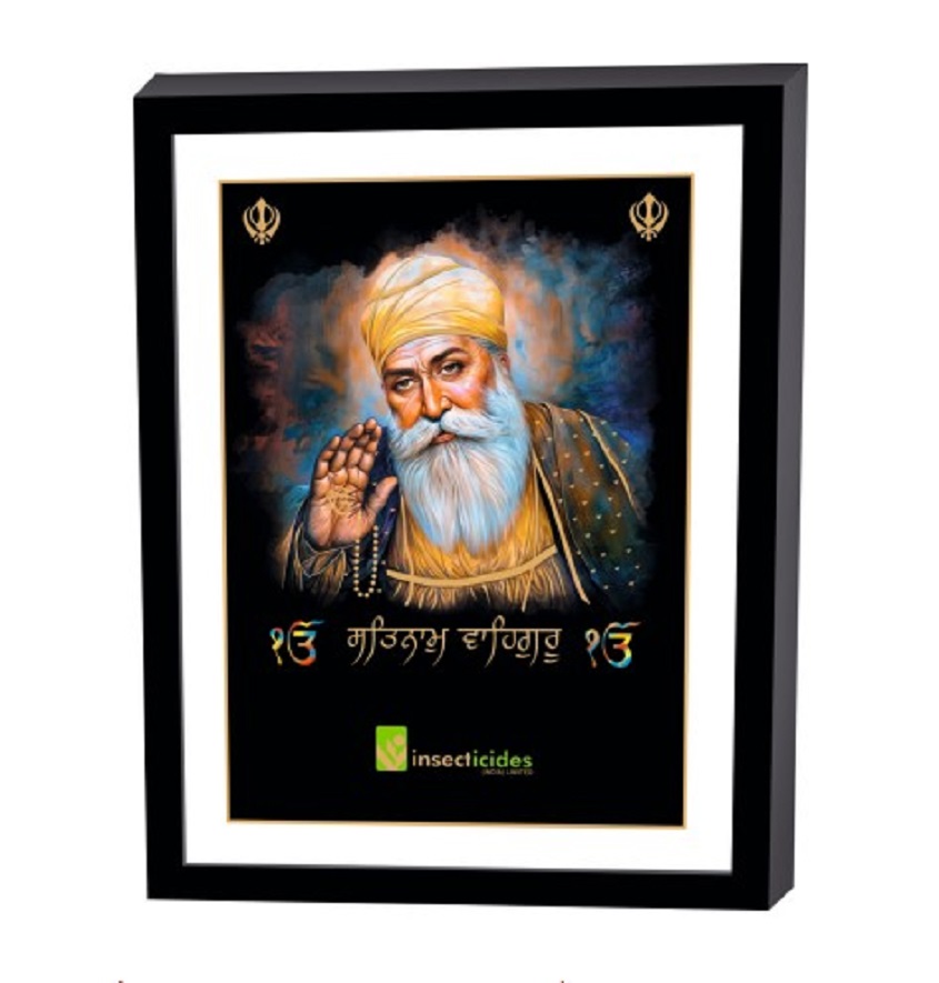 Service Provider of Elegant Art Box Frame & Flat Frame Gurunanak Printing Services in New Delhi, Delhi, India