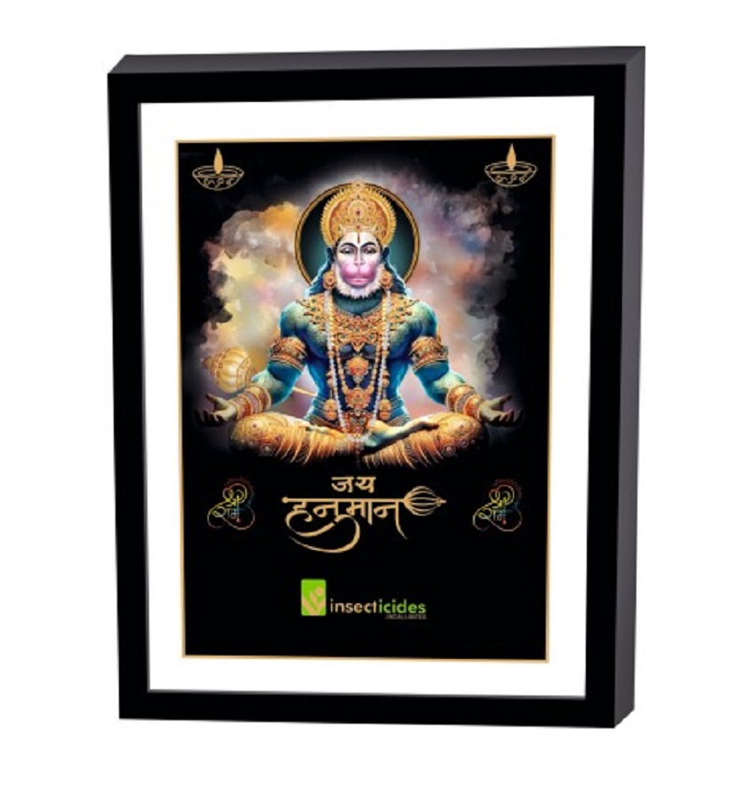 Service Provider of Elegant Art Box Frame & Flat Frame Hanuman Printing Services in New Delhi, Delhi, India