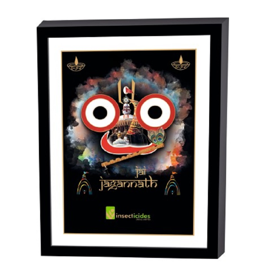 Service Provider of Elegant Art Box Frame & Flat Frame Jagannath Printing Services in New Delhi, Delhi, India