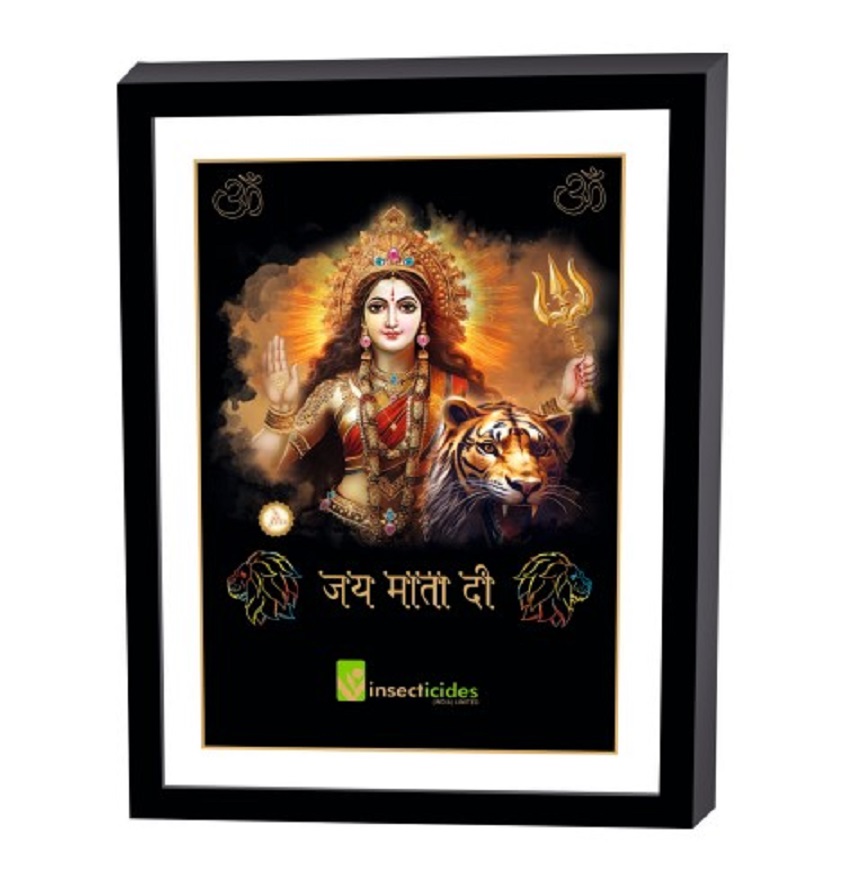 Service Provider of Elegant Art Box Frame & Flat Frame Mata Printing Services in New Delhi, Delhi, India