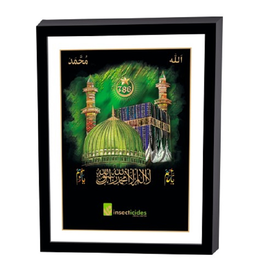 Service Provider of Elegant Art Box Frame & Flat Frame Muslim Printing Services in New Delhi, Delhi, India