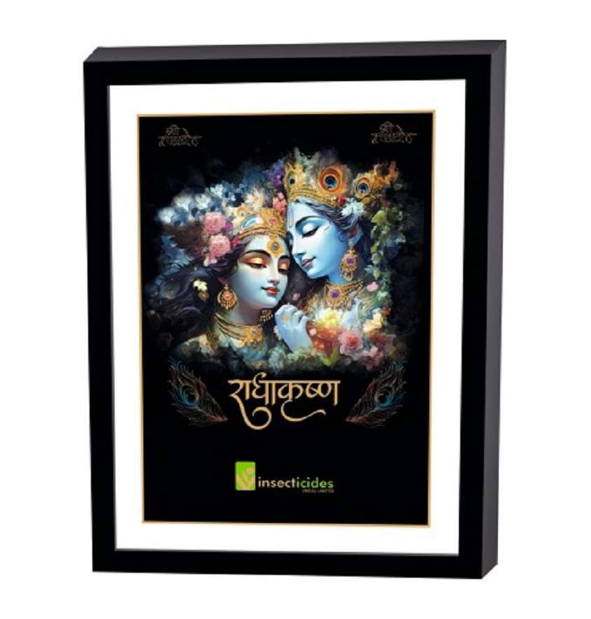 Service Provider of Elegant Art Box Frame & Flat Frame Radha Krishna Printing Services in New Delhi, Delhi, India