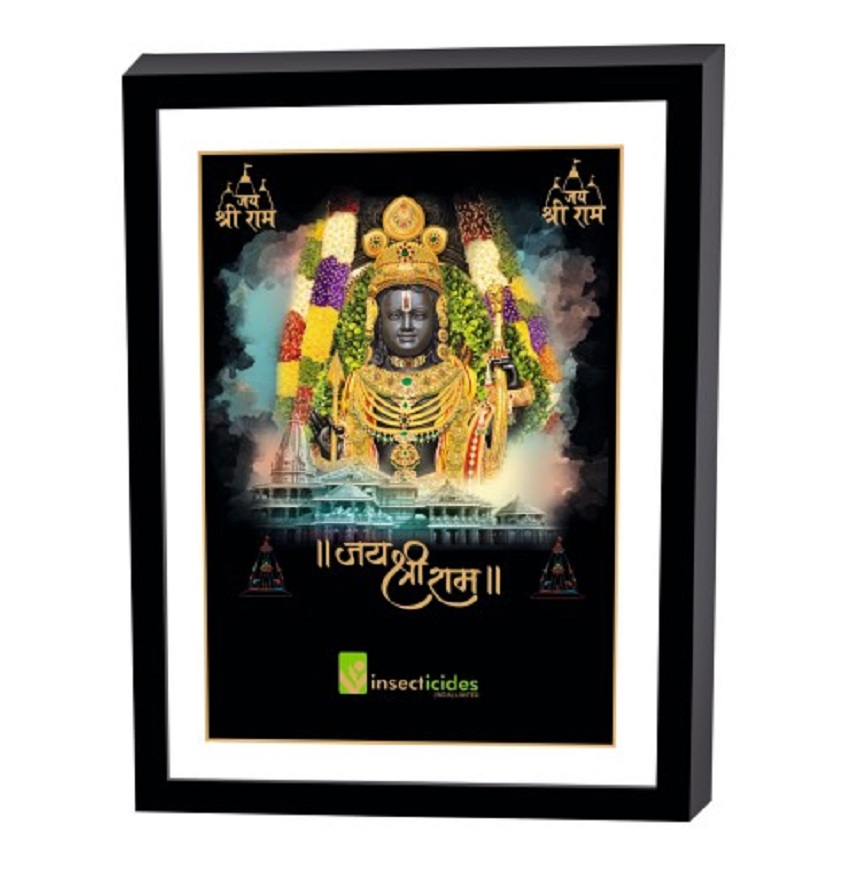 Service Provider of Elegant Art Box Frame & Flat Frame Ram Lalla Printing Services in New Delhi, Delhi, India