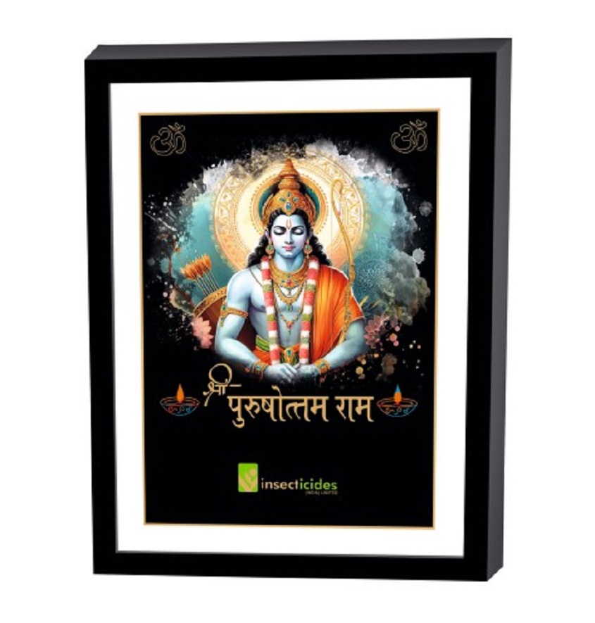Service Provider of Elegant Art Box Frame & Flat Frame Ram Printing Services in New Delhi, Delhi, India