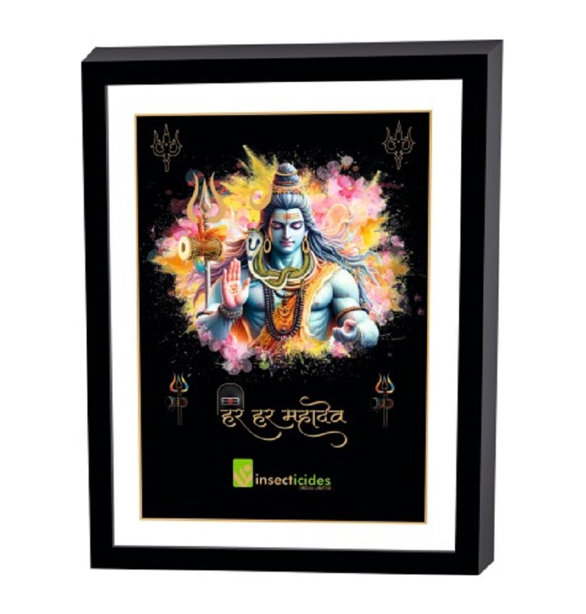 Service Provider of Elegant Art Box Frame & Flat Frame Shankar Printing Services in New Delhi, Delhi, India