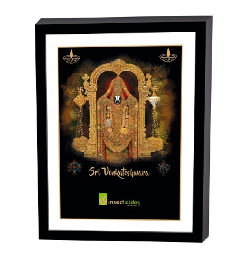 Service Provider of Elegant Art Box Frame & Flat Frame Tirupati Printing Services in New Delhi, Delhi, India