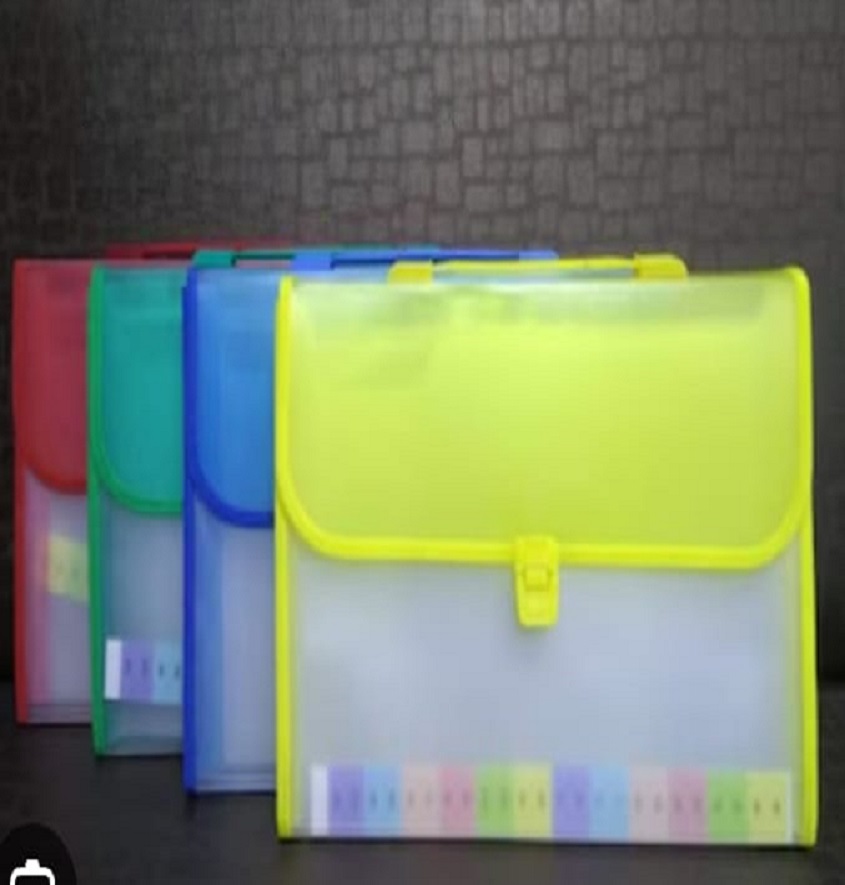 Service Provider of Expanding Bag Carton Packing Printing Services in New Delhi, Delhi, India.