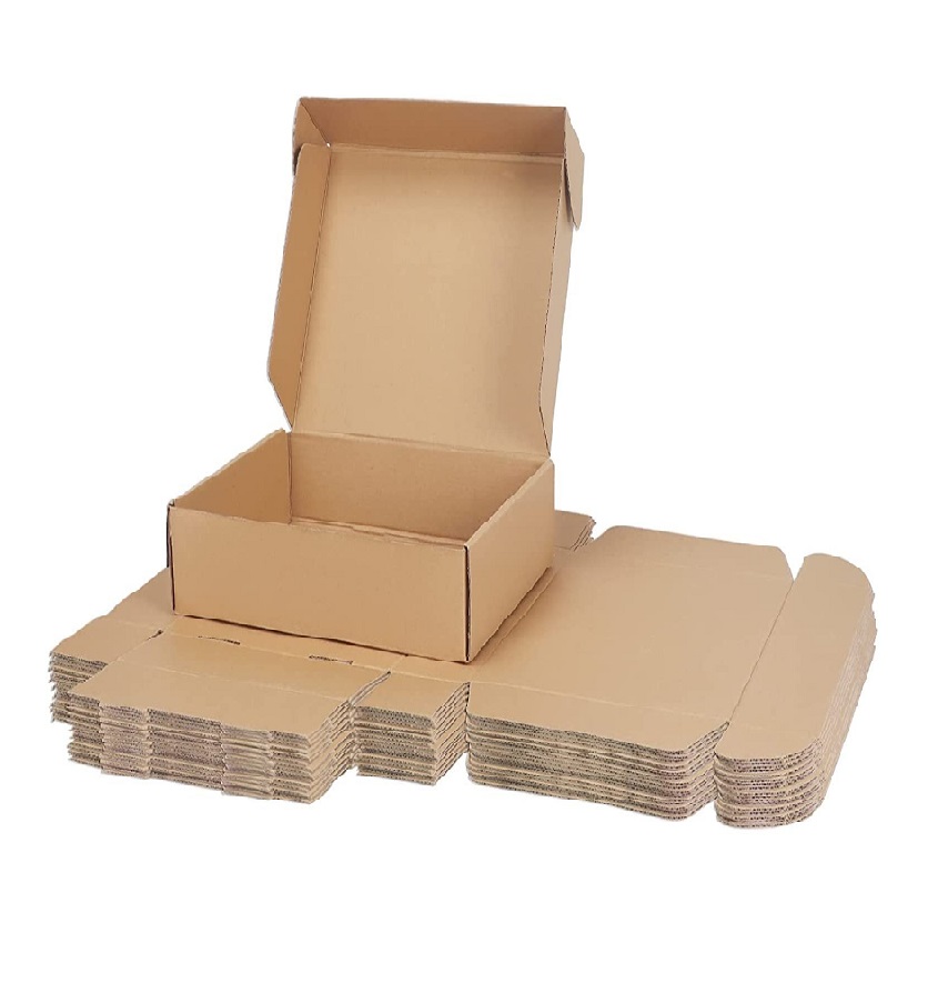 Service Provider of Mailer Box 3 Ply Self Locking Flat Box Printing Services in New Delhi, Delhi, India