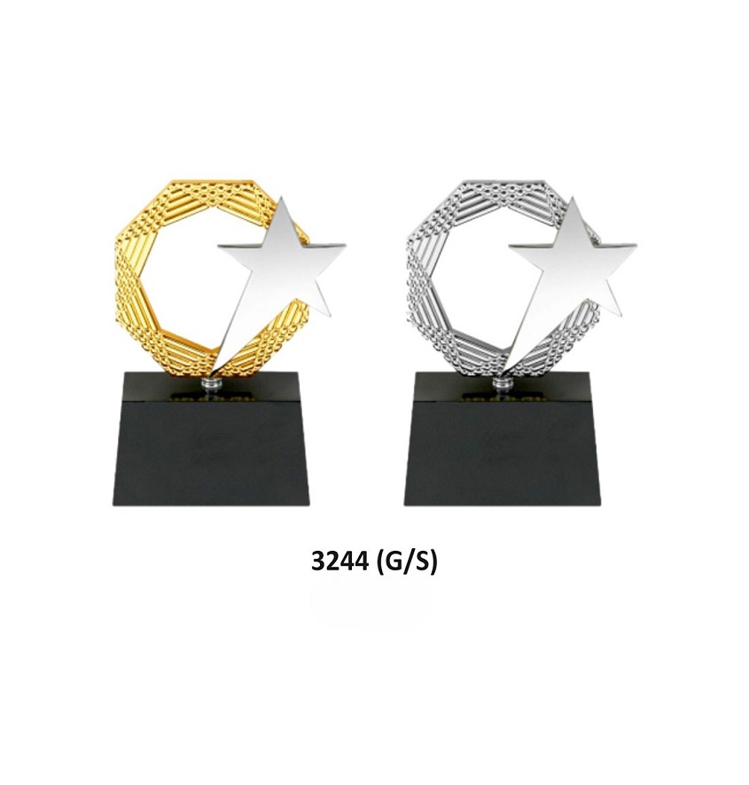 Service Provider of Metal Series 3244 Printing Services in New Delhi, Delhi, India