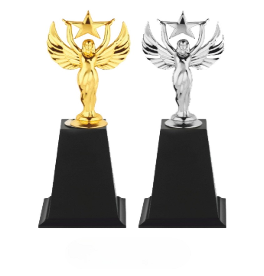 Service Provider of Metal Series 3245 Printing Services in New Delhi, Delhi, India