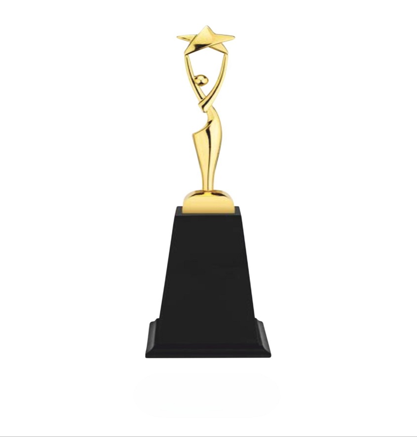 Service Provider of Metal Series 3251 Printing Services in New Delhi, Delhi, India