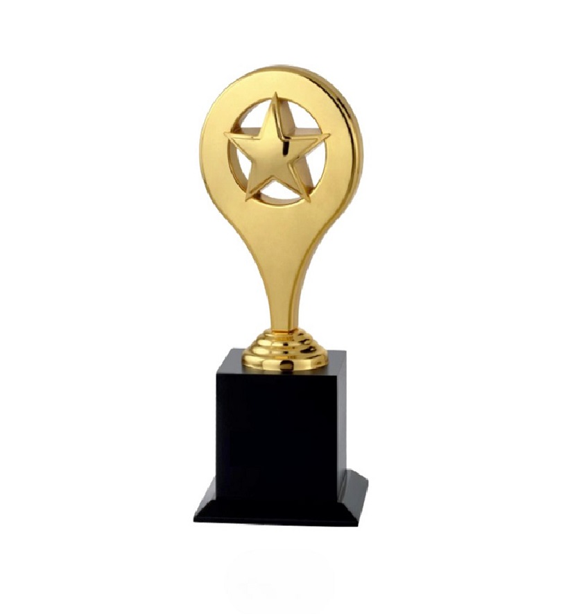 Service Provider of Metal Series 5027 Printing Services in New Delhi, Delhi, India