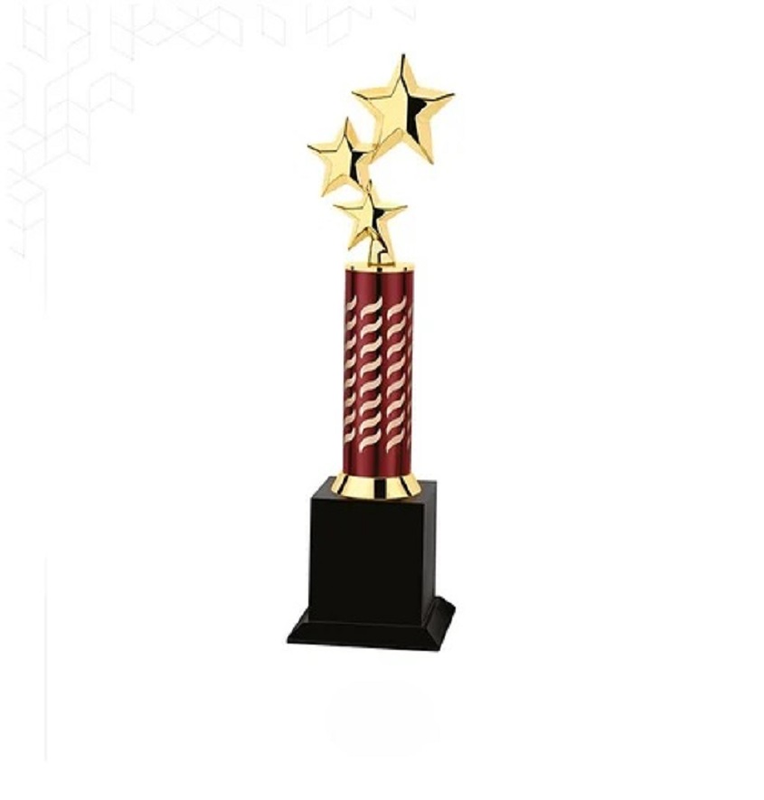 Service Provider of Metal Series 5036 Printing Services in New Delhi, Delhi, India