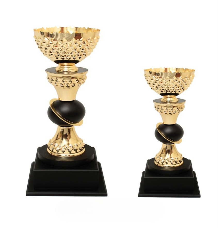 Service Provider of Metal Series 5501 Printing Services in New Delhi, Delhi, India