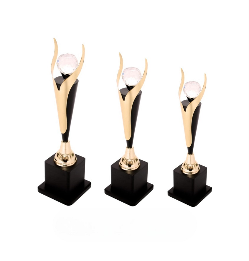 Service Provider of Metal Series 5504 Printing Services in New Delhi, Delhi, India