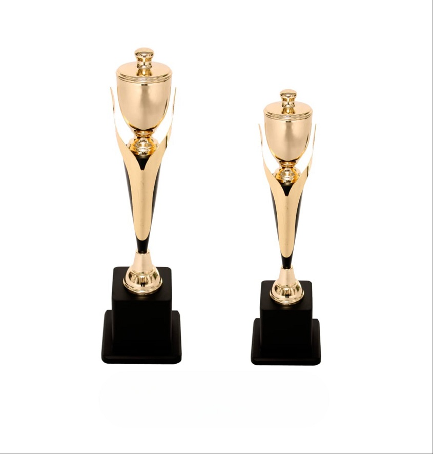 Service Provider of Metal Series 5505 Printing Services in New Delhi, Delhi, India