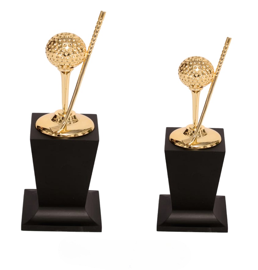 Service Provider of Metal Series 5510 Printing Services in New Delhi, Delhi, India