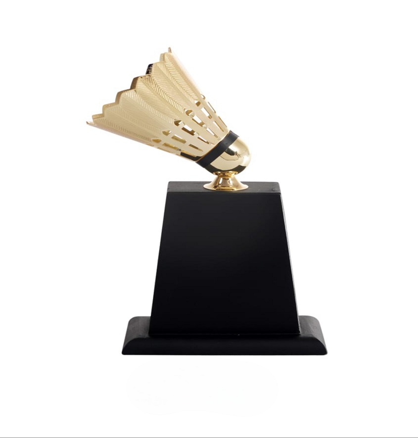 Service Provider of Metal Series 5511 Printing Services in New Delhi, Delhi, India