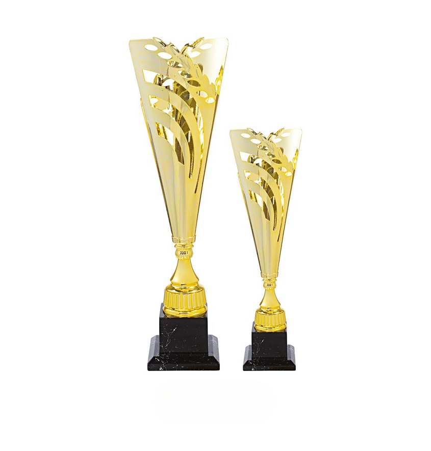 Service Provider of Metal Series IT-3549 Printing Services in New Delhi, Delhi, India